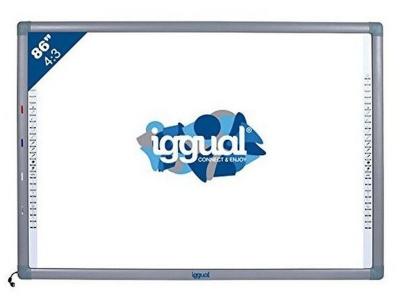 IGGUAL Ecran de projection  IGG314371