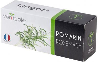 VERITABLE Recharge jardin d'int&eacute;rieur  romarin Multicolore 