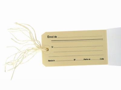 AGIPA Etiquettes &agrave; bagage, imprim&eacute;es avec ficelle