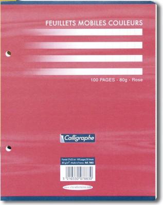 CLAIREFONTAINE Feuillets Mobiles Bleu Perfor&eacute;es 17X22 Grands Carreaux Seyes 80G 