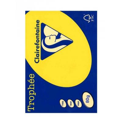CLAIREFONT aine trophee lot de 5 ramette de 500 feuilles papier couleur 80 g a4 jaune soleil 1877 