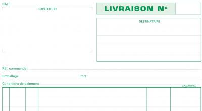 EXACOMPTA Manifold  50 feuillets Livraison 29,7x21cm Dupli