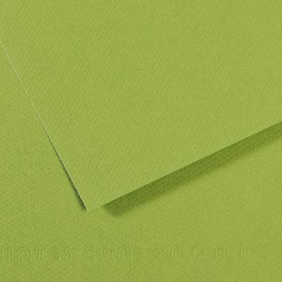 CANSON Feuille &agrave; dessins mi-teinte -  - 160g - 50x65 - Vert Pomme