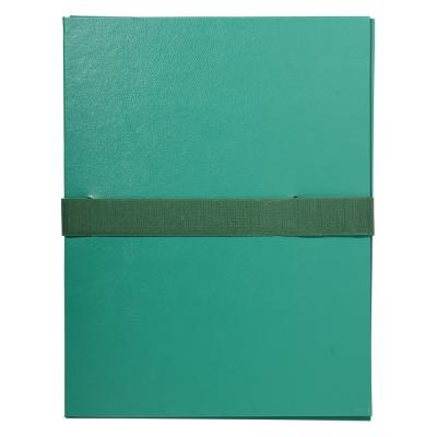 EXACOMPTA Chemise Dos Extensible Balacron Et Sangle Scratch Vert Clair