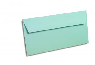 POLLEN BY CLAIREFONTAINE Pack de 20 enveloppes DL Pollen 110 x 220 mm Bleu ciel