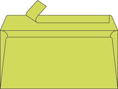 CLAIREFONTAINE Lot de 20 enveloppes 110 x 220 - POLLEN - 120g - Vert bourgeon