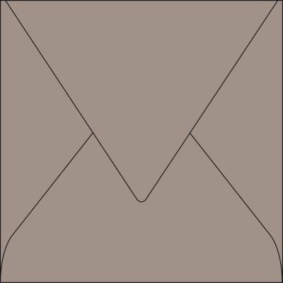 POLLEN Lot de 20 enveloppes 165 x 165 -  - 120g - Gris acier