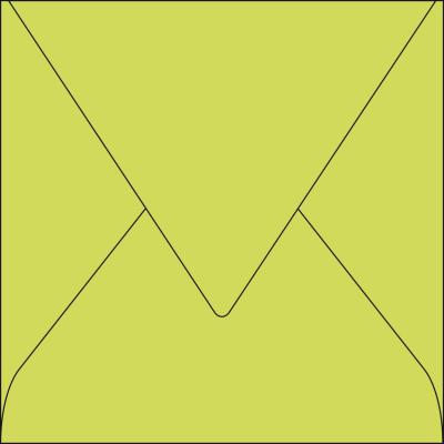 CLAIREFONTAINE Lot de 20 enveloppes 165 x 165 - POLLEN - 120g - Vert bourgeon