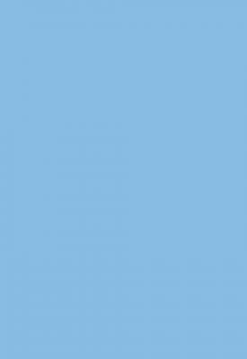CLAIREFONTAINE Lot de 25 feuilles A4 - POLLEN - 210g - Bleu lavande