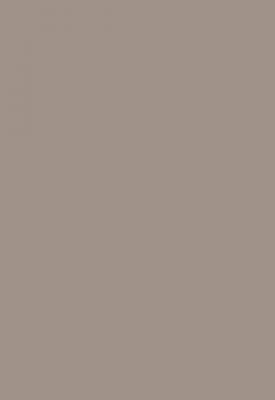 POLL Clairefontaine Etui De 50 Feuilles 210x297 Gris Acier 120g