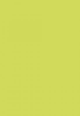 EXACOMPTA CLAIREFONTAINE Etui de 50 feuilles Clairefontaine A4 Pollen Vert Bourgeon