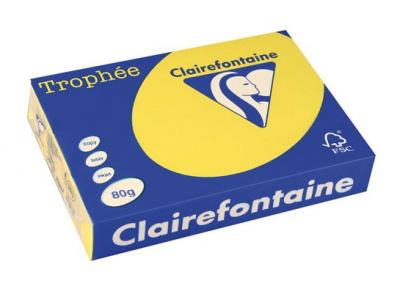 CLAIREFONTAINE Ramette papier couleur  A3 160g - Jaune soleil