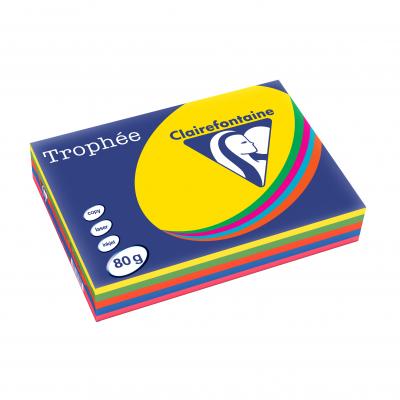 CLAIREFONTAINE Ramette papier couleur  A3 80g - Couleur intense
