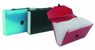 VIQUEL Trieur valisette 26c + poignee couleur assortis