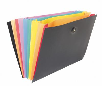 VIQUEL Valisette trieur extensible -  - 8 compartiments - Noir