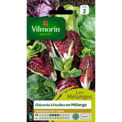 VILMORIN  - Sachet graines Chicor&eacute;e &agrave; Feuilles en M&eacute;lange