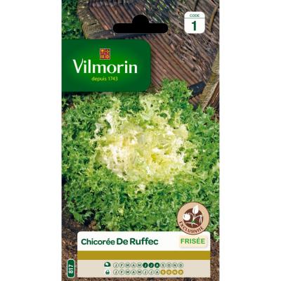 VILMORIN  - Sachet graines Chicor&eacute;e fris&eacute;e de Ruffec