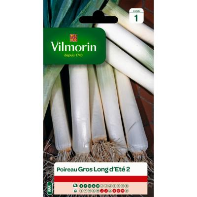 VILMORIN Poireau  gros long d'&eacute;t&eacute; 2