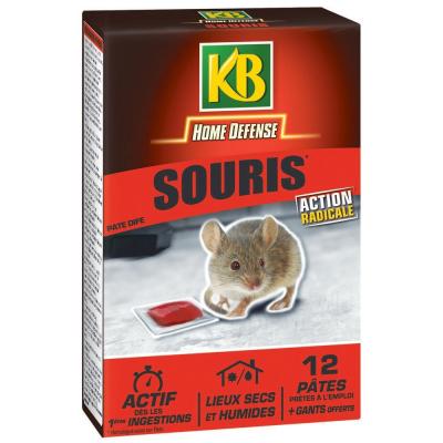 KB  HOME DEFENSE - Souris p&acirc;te 12x10g