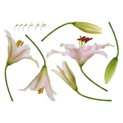 PLAGE  152726 Sticker Mural - Eclosion, 1 Planche, 48 x 68 cm