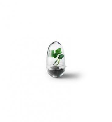 Design House Stockholm Mini-serre Grow  - S