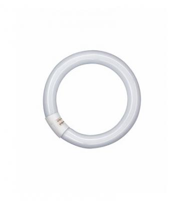 OSRAM Tube fluorescent Circline - G5 - 40 W - &Oslash; 29 mm - blanc froid