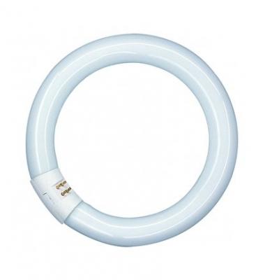 OSRAM Anneau fluorescent Lumilux T9C G10q 22W 840