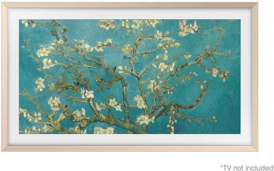 SAMSUNG Cadre The Frame  65'' Metal Gold 2023 Multicolore 