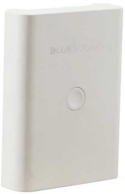 BLUESOUND Batteries rechargeables  BP100 Blanc 