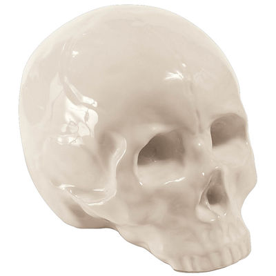 D&eacute;coration Seletti My Skull Memorabilia 
