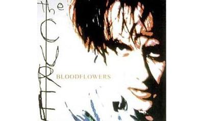 Fournisseur Cultura Bloodflowers