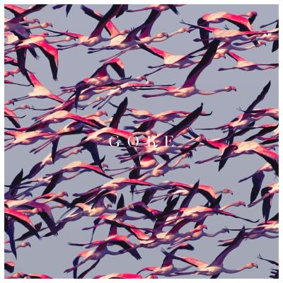LP de Deftones - Gore - pour Unisexe - blanc