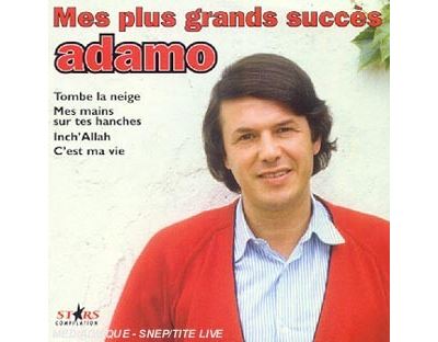 Fournisseur Cultura Mes Plus Grands Succes