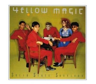 MUSIC ON VINYL Solid state survivor 