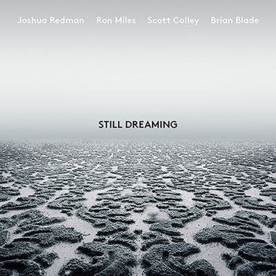 Still Dreaming (Feat. Ron Mile