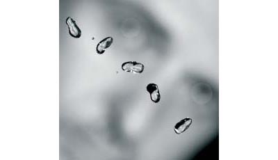 Peter Gabriel - Up - Standard Version - 2 Vinilos