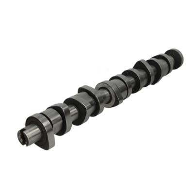 AE Arbre &agrave; came  CAM912