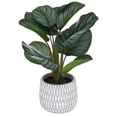 ATMOSPHERA CREATEUR D INTERIEUR Plante artificielle Maranta en pot h 45 cm - Vert - Atmosphera