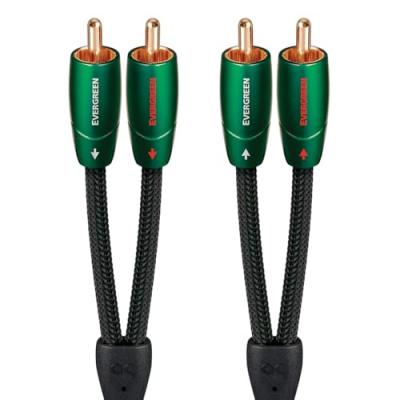 AUDIOQUEST C&acirc;ble audio RCA  Evergreen 1 m Noir et vert