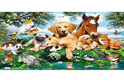CASTORLAND Castor - puzzle amici estivi 500 pz. [wzcstt0uf002387]