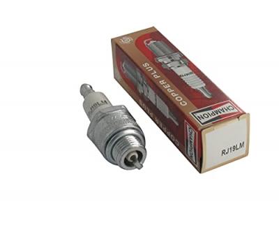 CHAMPION JARDIN PRATIC Bougie d'allumage pour tondeuse  RJ19LM