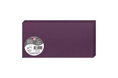 POLLEN Paquet de 25 cartes pli&eacute;es  106x213mm Cassis 210g