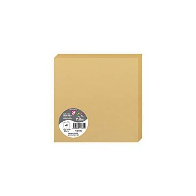 POLLEN Paquet de 25 cartes pli&eacute;es  160x160mm Caramel 210g
