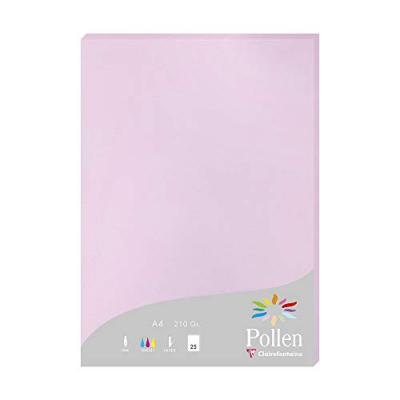 POLLEN Clairefontaine Etui De 25 Feuilles 210x297 Lilas 210g