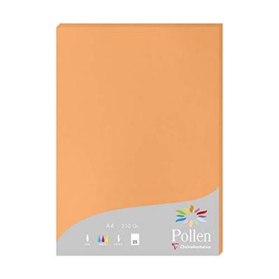 CLAIREFONTAINE Etui de 25 feuilles Pollen A4 Cl&eacute;mentine 210g