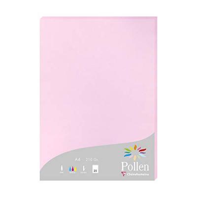 Etui de 25 feuilles A4 - POLLEN - 210g - Rose drag&eacute;e