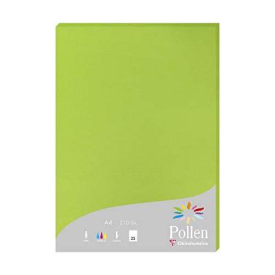 CLAIREFONTAINE Etui de 25 feuilles Pollen 210x297 Vert Menthe 210g