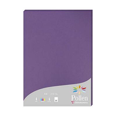 CLAIREFONTAINE  Etui De 25 Feuilles 210x297 Violine 210g