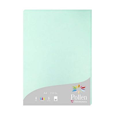 CLAIREFONTAINE Pollen Etui de 25 Feuilles 210x297 vert jade 210g