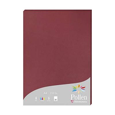 POLLEN Etui de 25 feuilles  A4 Bordeaux 210g
